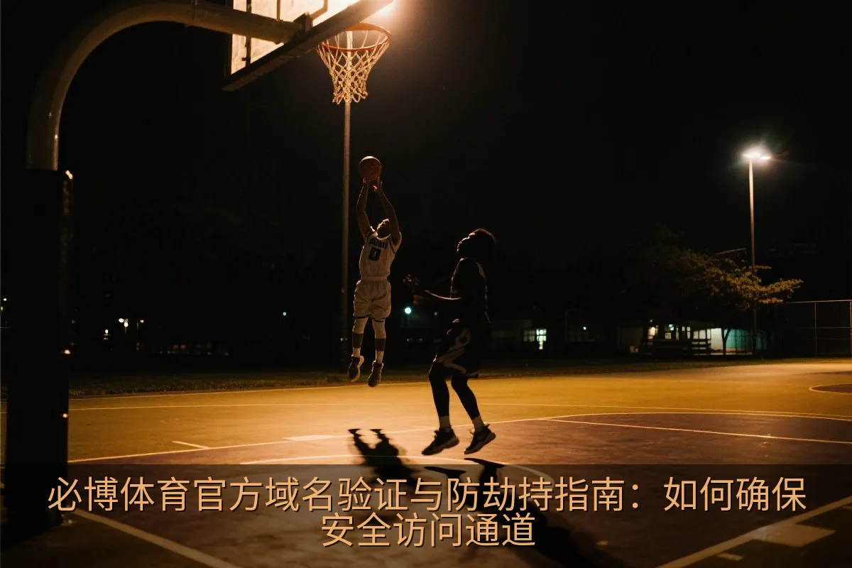 网络连接属性中配置公共DNS服务器的界面